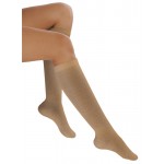 Avicenum 310 AD, 8002