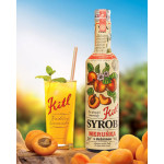 Kitl Syrob Meruňka 500 ml