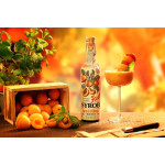 Kitl Syrob Meruňka 500 ml
