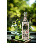 Kitl Syrob Okurka 500 ml