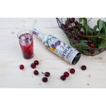 Kitl Syrob Višeň s dužinou 500ml